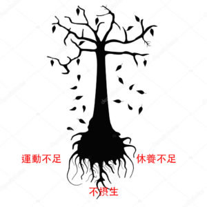 漢方体調の枯れ木